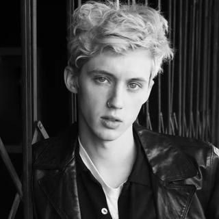 Troye Sivan 在Spotify上喜欢听的歌