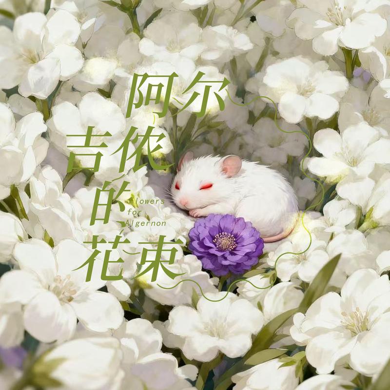 阿尔吉侬的花束