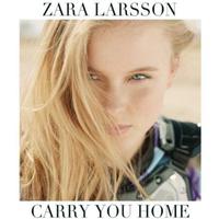 Zara Larsson - Carry You Home (Instrumental)
