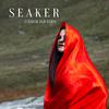 Seaker - Strange Old Thing