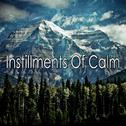 Instillments Of Calm专辑