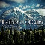 Instillments Of Calm专辑