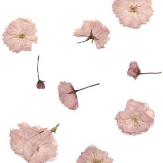 欧美·漂浮在失重宇宙