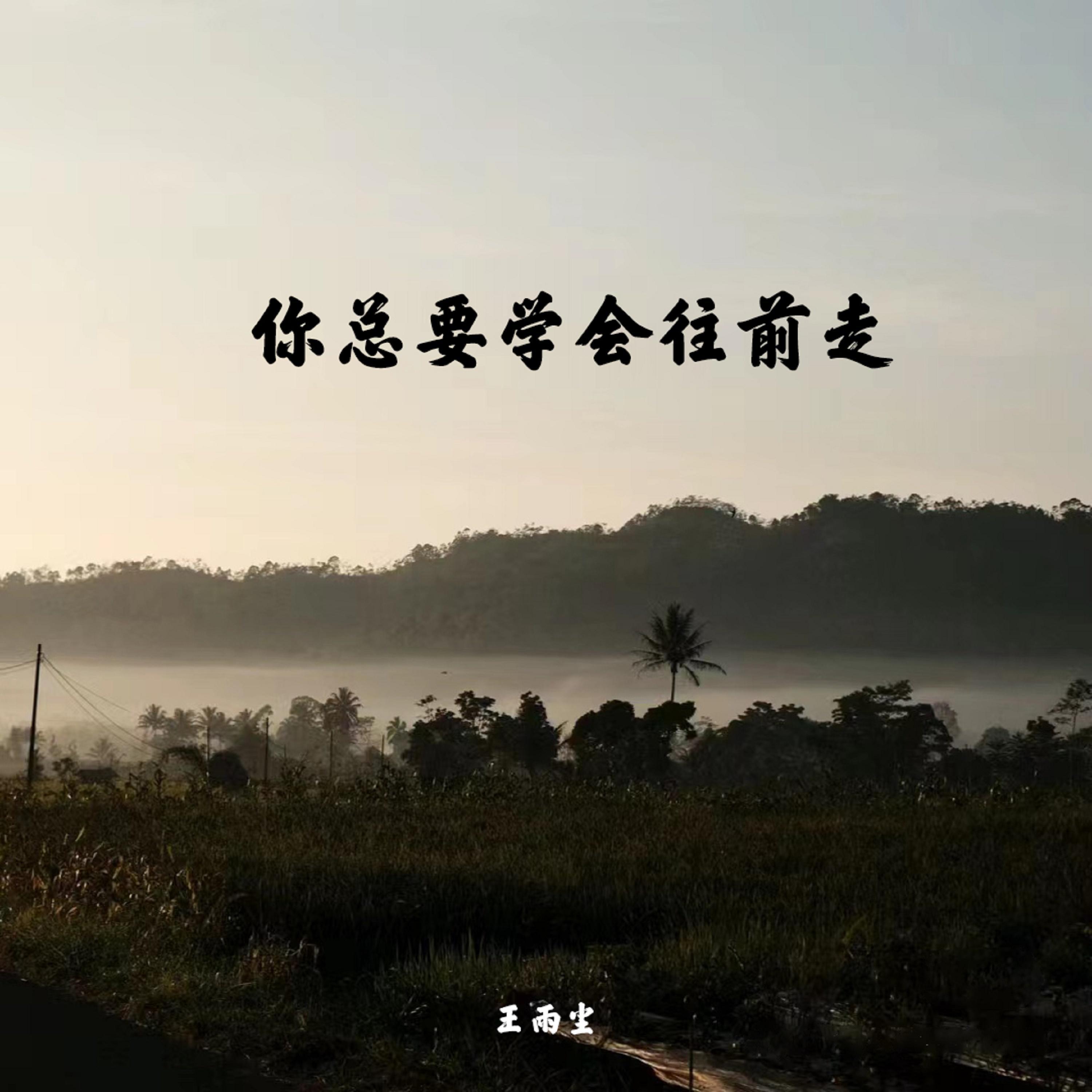 你总要学会往前走 - 王雨尘 - 单曲 - 网易云音乐