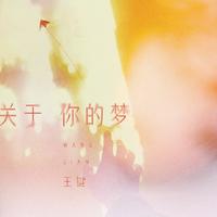 王键 - 关于你的梦