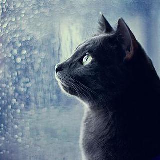 【润物无声 · 春风化雨】