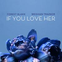 Forest Blakk & Meghan Trainor - If You Love Her (HT Instrumental) 无和声伴奏
