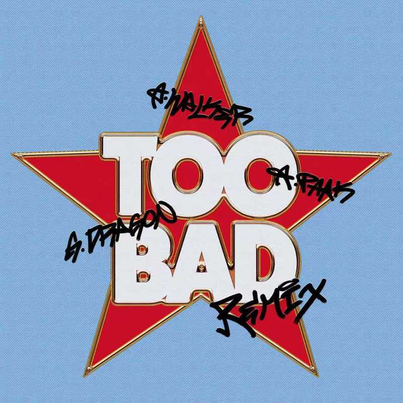 TOO BAD – Alan Walker Remix