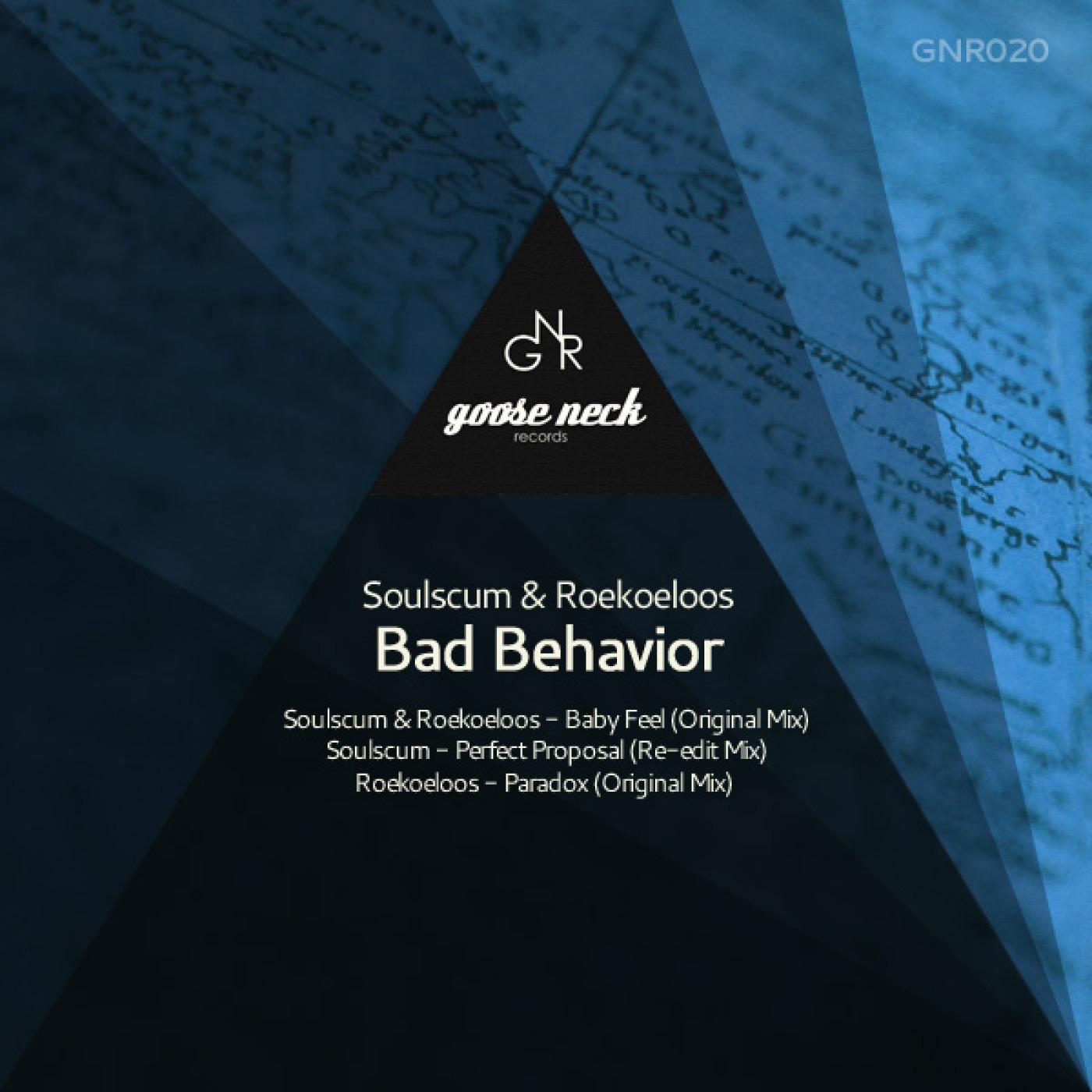 Bad Behavior