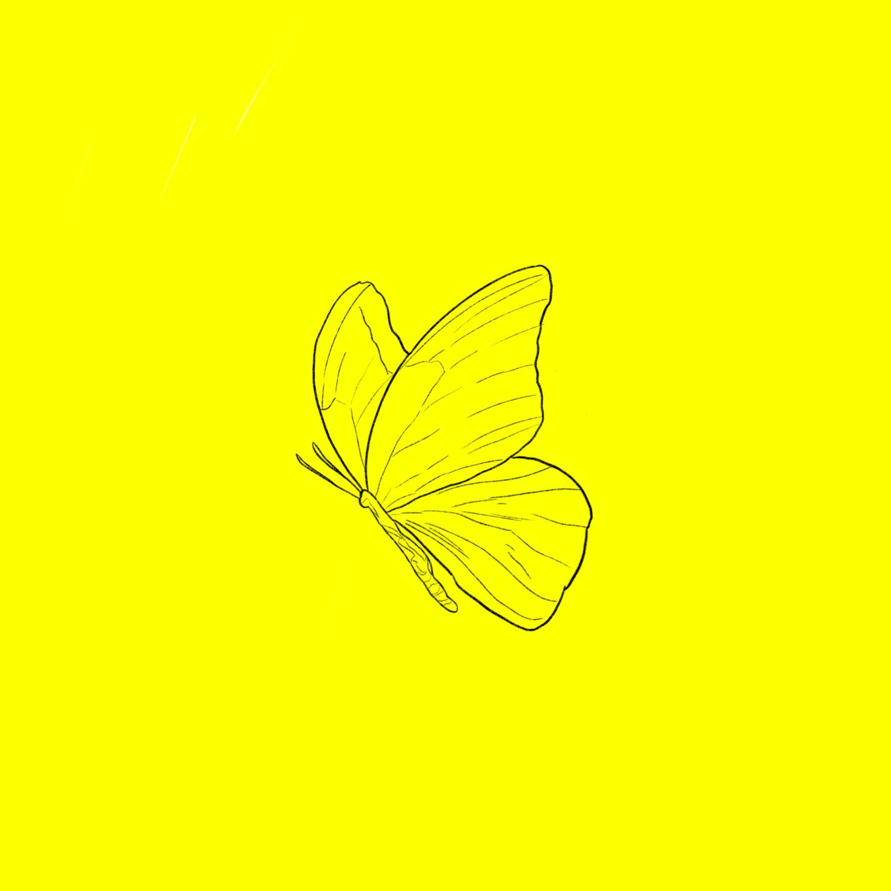 波儿Boer - Butterflies