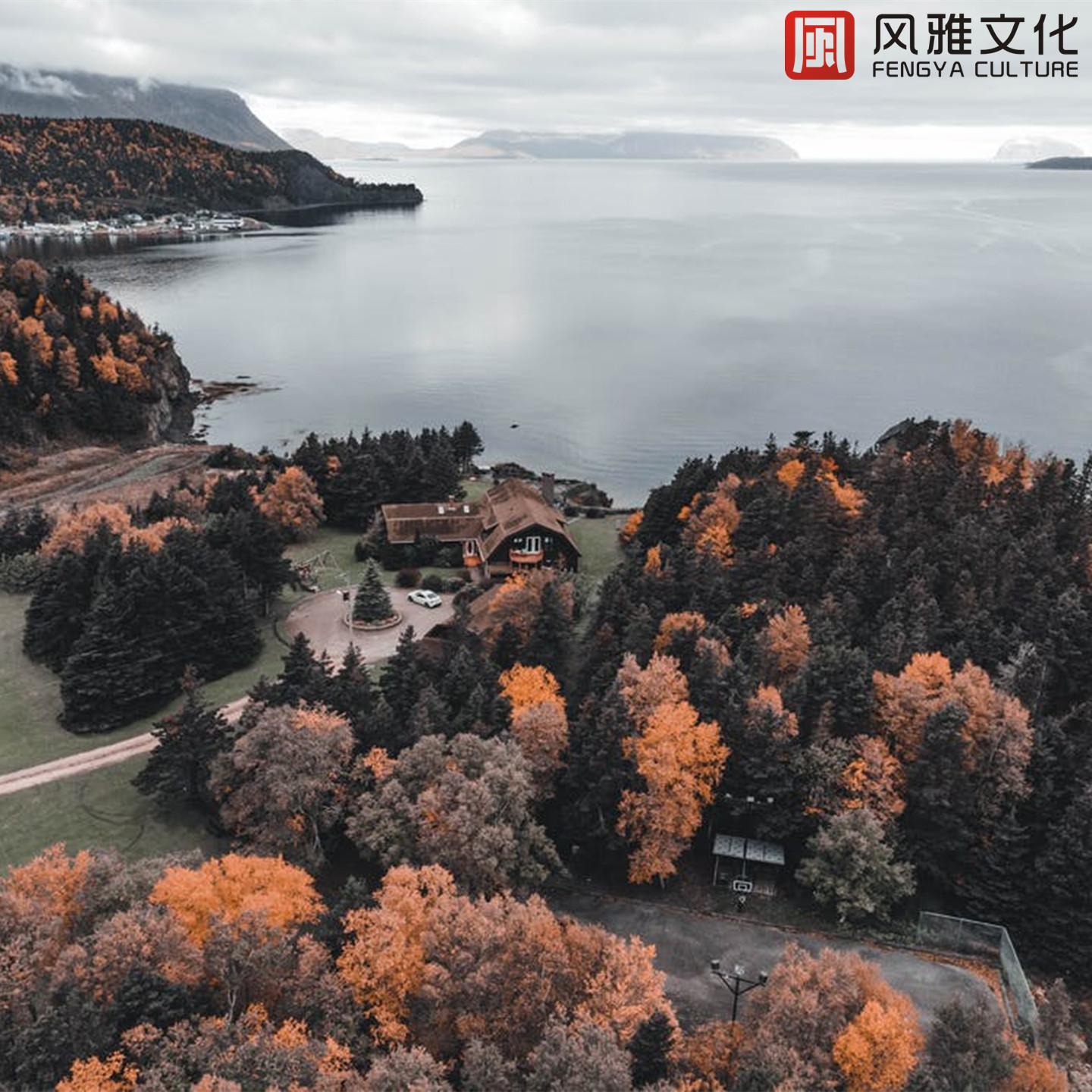 轻松纯音乐，静心减压学习必备轻音乐