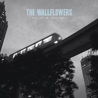 6th Avenue Heartache - the Wallflowers (karaoke) 带和声伴奏
