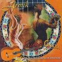 Fuego Gitana, The Nuevo Flamenco Collection专辑