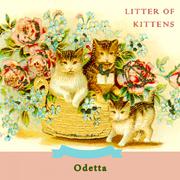 Litter Of Kittens专辑
