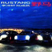 RUSTANG (伴奏)