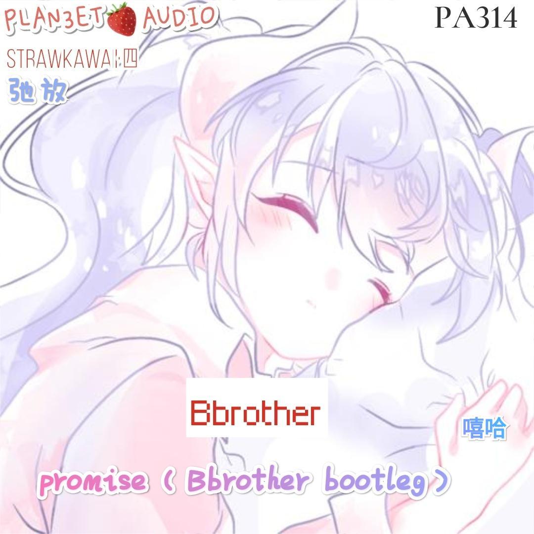 Promise(Bbrother bootleg)【1 year of plan3et 07】