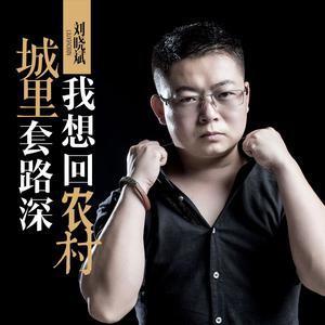 刘晓斌 - 梦(原版立体声伴奏)