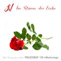 Im Sturm der Liebe - Der Song aus dem Polizeiruf 110 "Muttertag"专辑