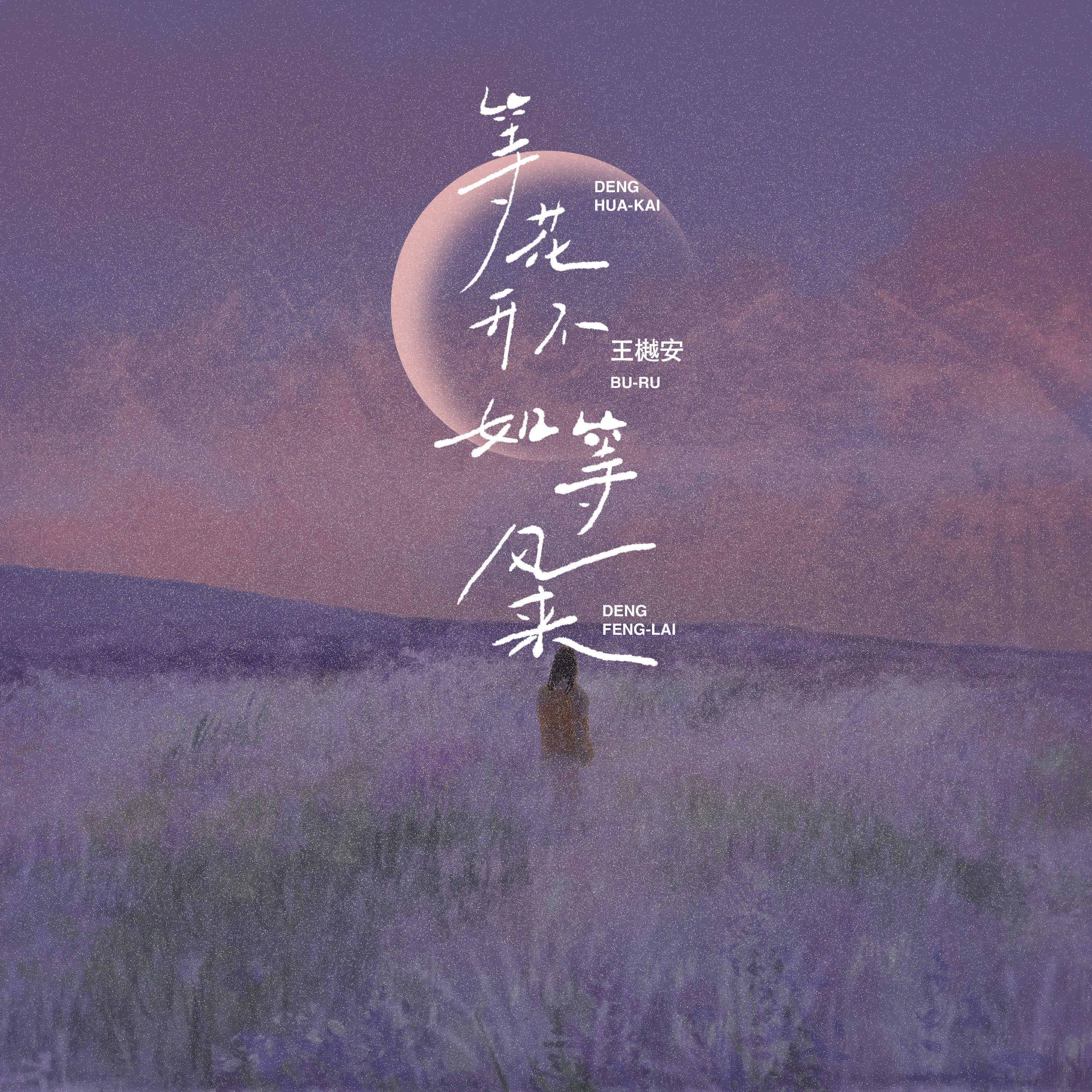 等花开不如等风来