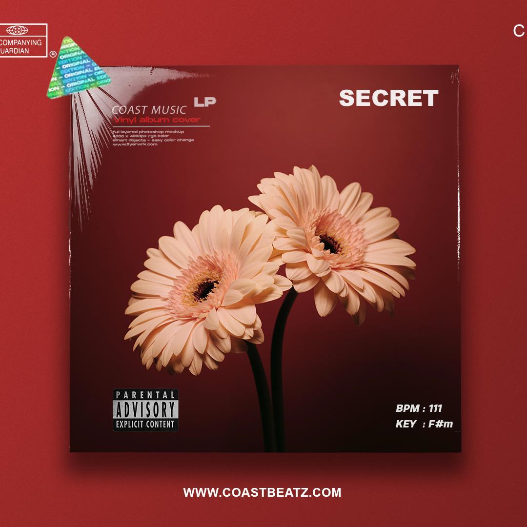 Soul Guitar K Pop Type Beat "SECRET"