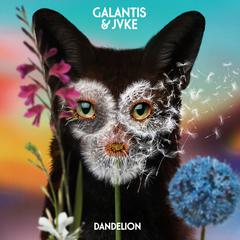 Galantis,JVKE《Dandelion吉他谱》G调_完美平衡的音调