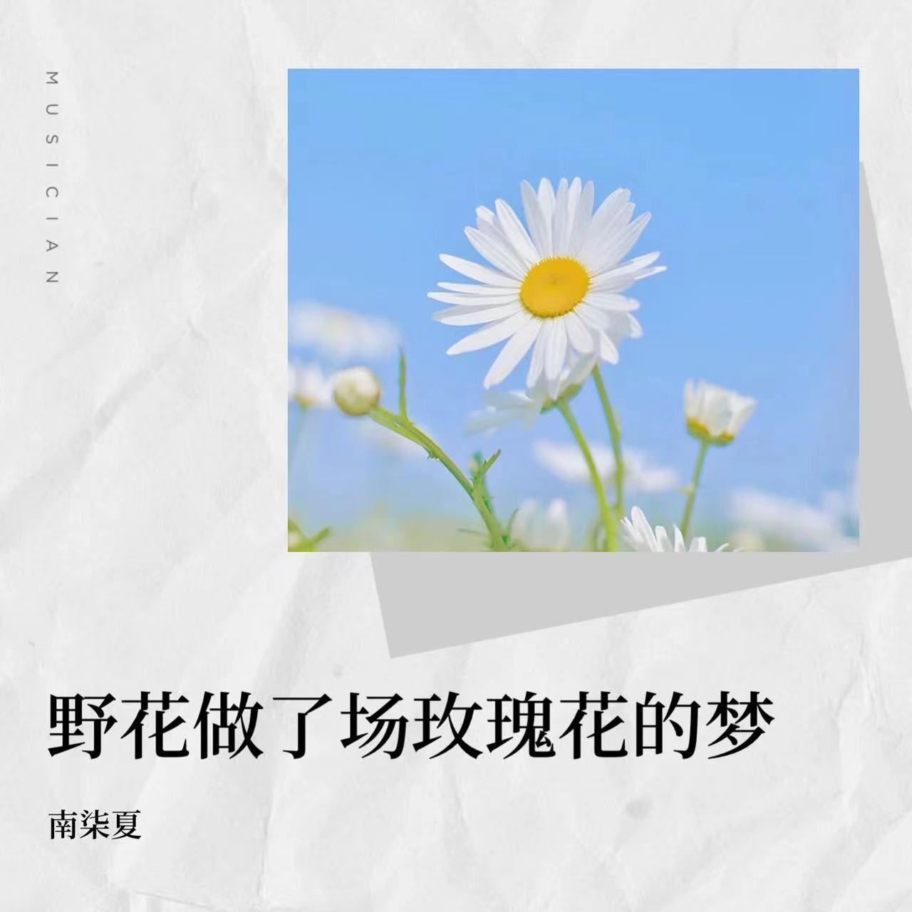 野花做了场玫瑰花的梦(DJ版）