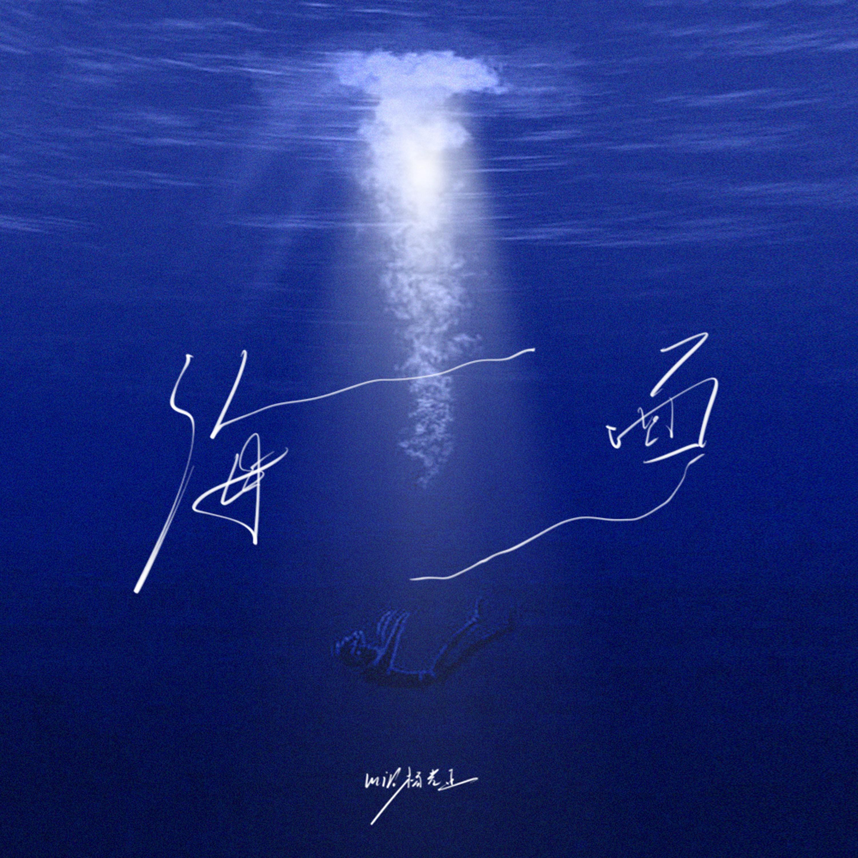 海面专辑