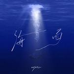 海面专辑