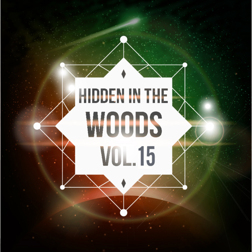 Hidden In The Woods Vol.15专辑