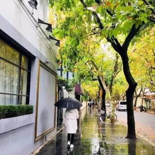 【纯音盛宴】一瞬间让你惊艳的旋律