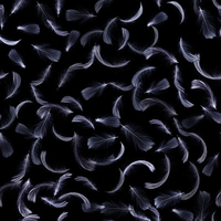 Billie Eilish - Birds Of A Feather (Alex Caspian Remix)