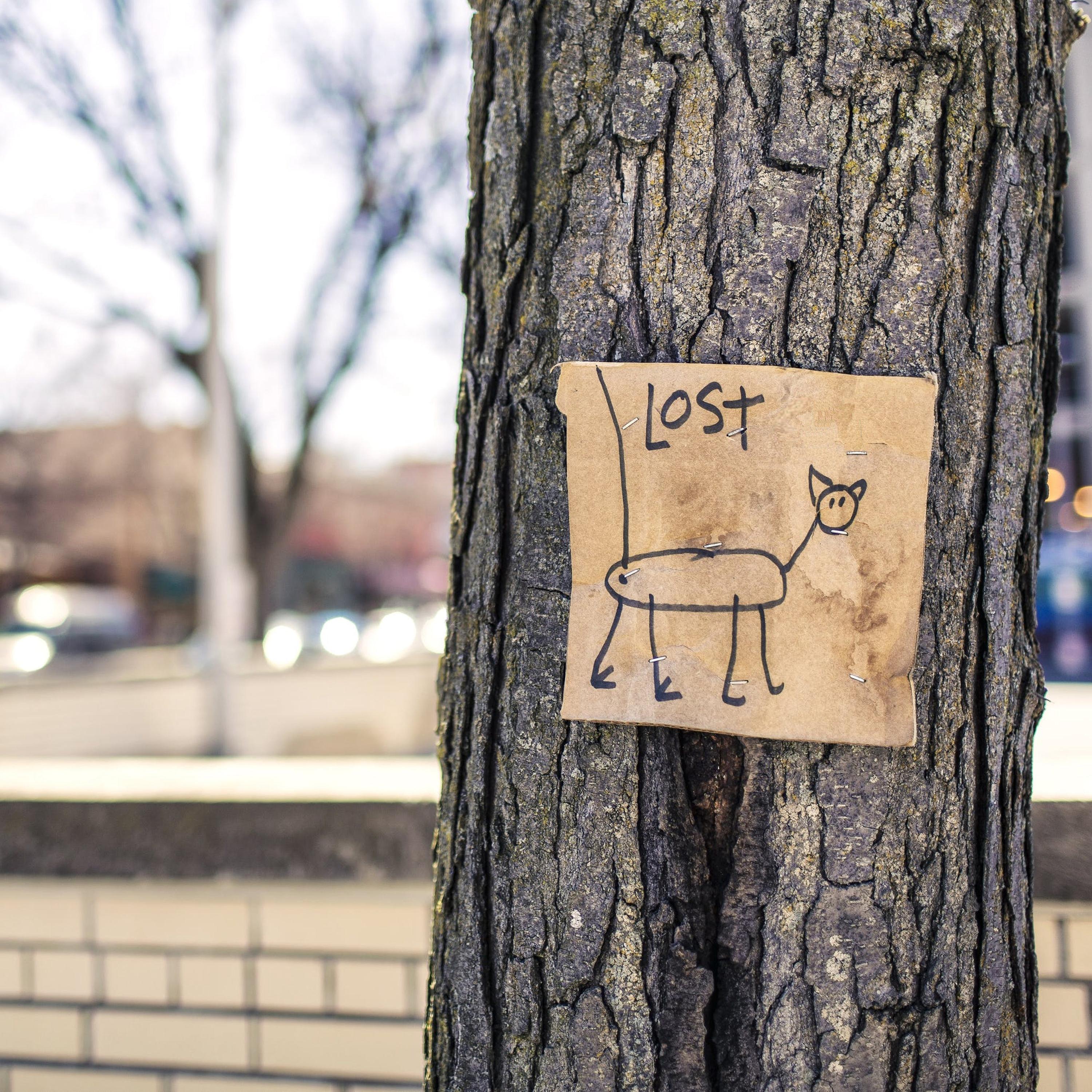 Lost