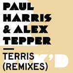 Terris (Remixes)专辑