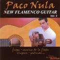 New Flamenco Guitar (Vol. III)专辑