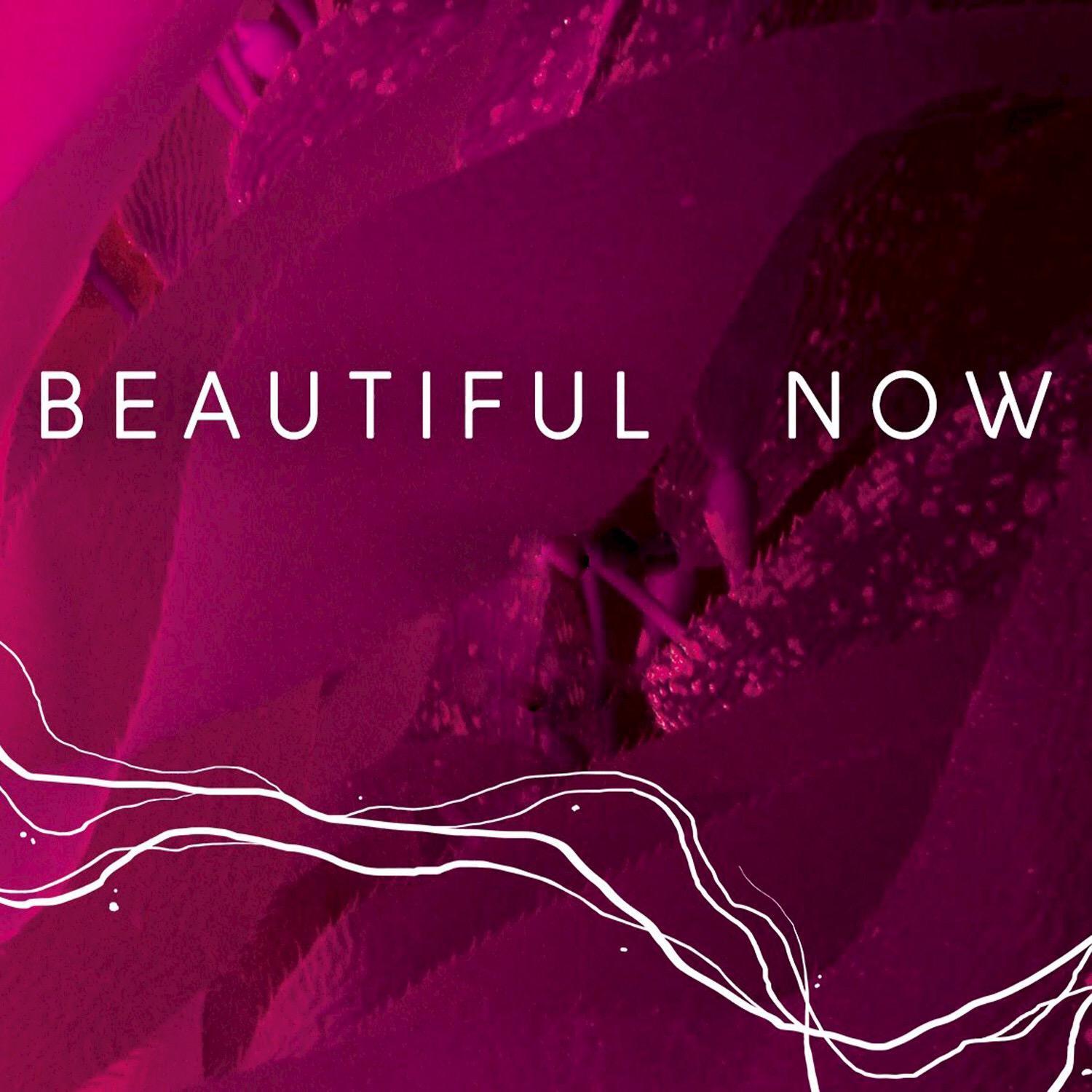Zedd - Beautiful Now