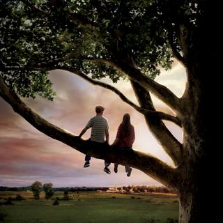 单字情歌 | 暗恋是最辛苦的秘密