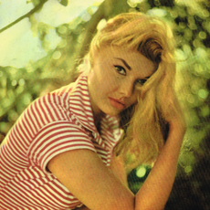 Dottie Evans