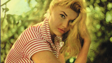 Dottie Evans