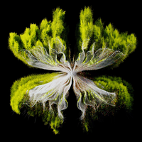 Rebuke - Along Came Polly (Konstantin Sibold, Zac, Carmee Remix) 124