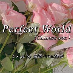 Perfect World（中文版）