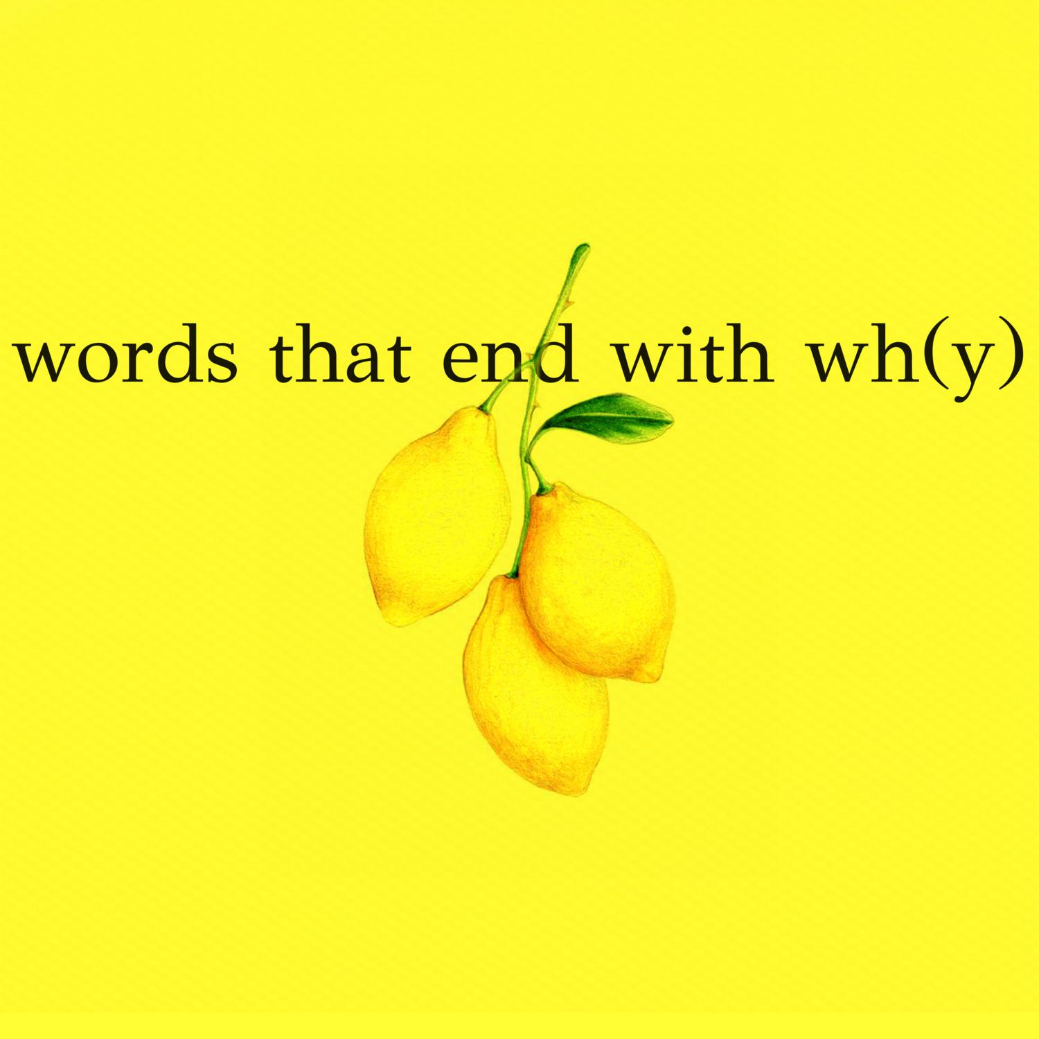 Words That End with Wh(y)