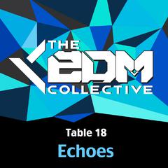 Echoes (Original Mix)