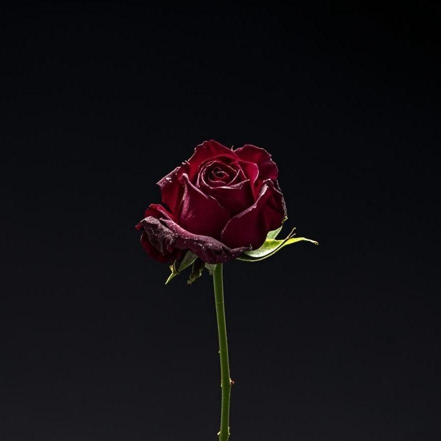 NONE（Prod by Yzz）