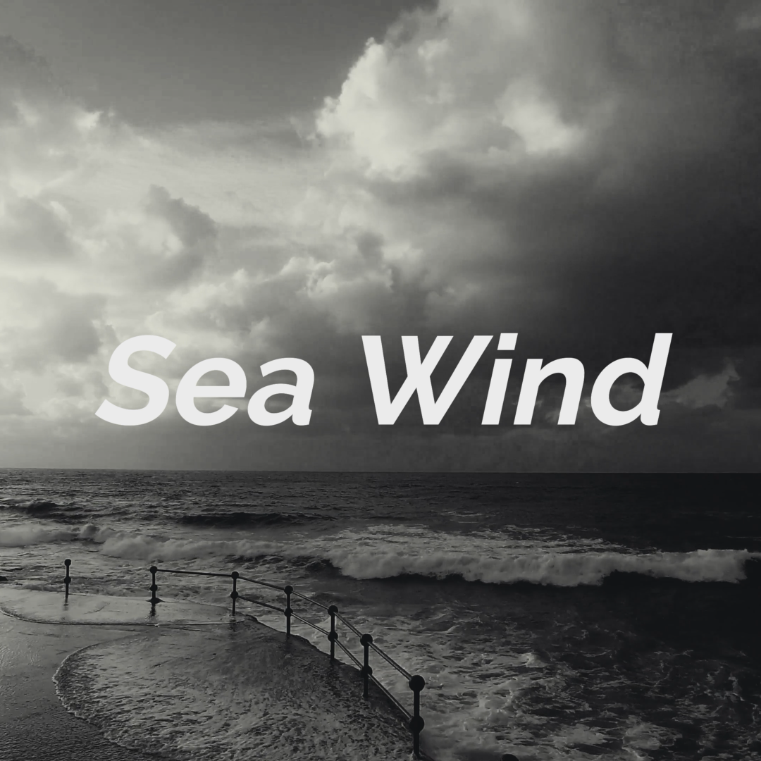 \\Sea Wind//