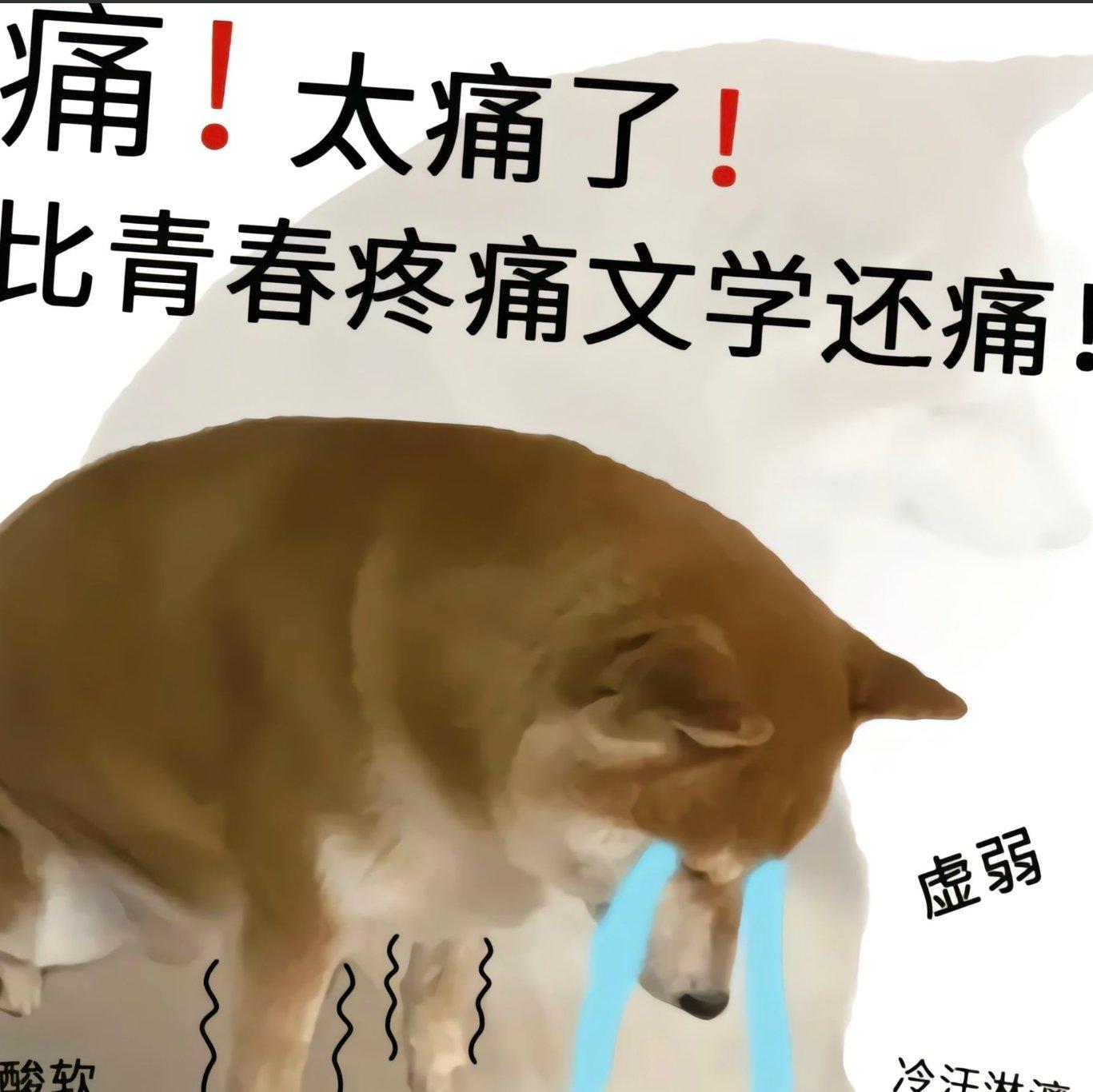 痛经缓解神曲！！！！（亲测效果） | 在线播放 | 网易云音乐