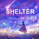 Shelter专辑