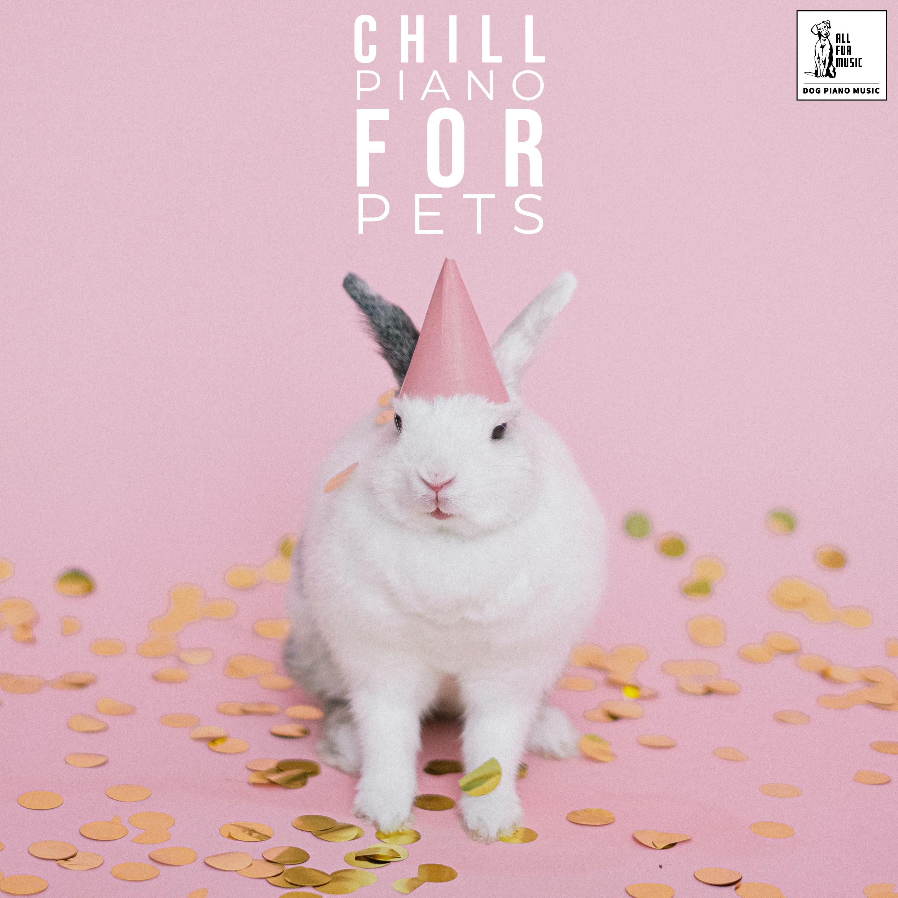 Chill Piano For Pets