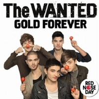 The Wanted - Gold Forever ( Unofficial Instrumental )