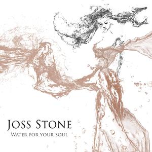 J. Period ft Joss Stone & Kardinal Offishall - Cut The Line (Instrumental) 原版无和声伴奏