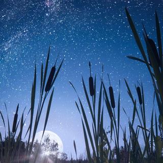 【强烈推荐！】一分钟超快速度刷等级刷歌